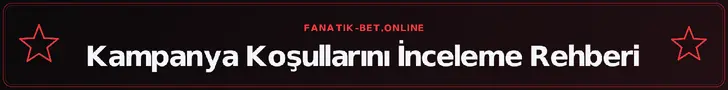 Kampanya Koşullarını İnceleme Rehberi – fanatik-bet.online